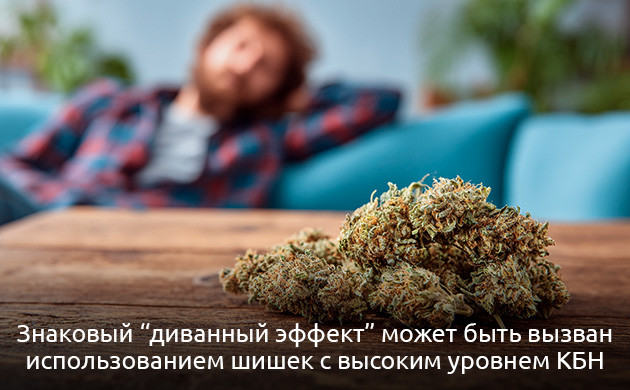 Каннабинол (КБН) – седативный каннабиноид с лечебным потенциалом