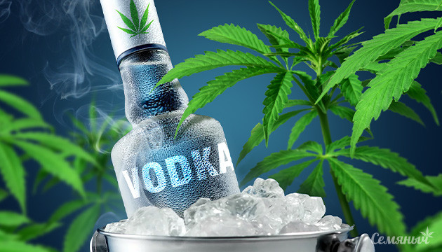 Конопляная водка