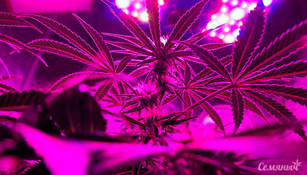 Подходящие лампы на разных этапах