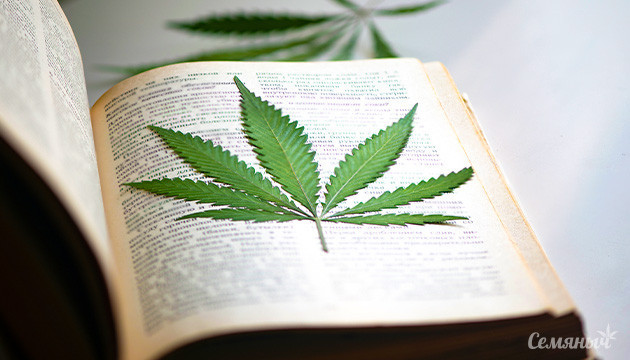 Каннабис: от веревок до медицины