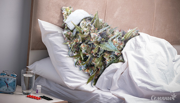 Основные болезни конопли