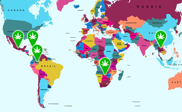 Происхождение сативных сортов