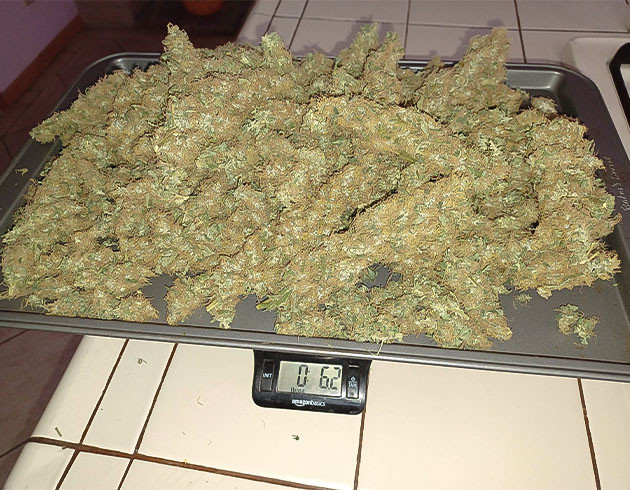 Финальный эффект и вкус Blueberry Hill