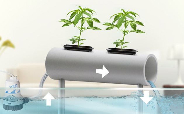 Циркуляция воды через трубу с каннабисом