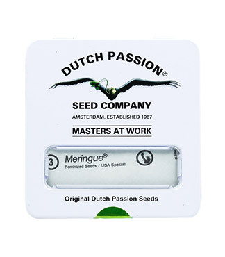 Meringue fem (Dutch Passion)