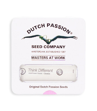Think Different Auto fem (Dutch Passion)