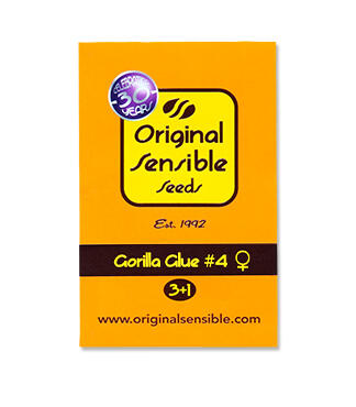 Gorilla Glue #4 fem (Original Sensible Seeds)