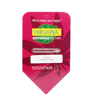 Chrystal fem (Nirvana Seeds)