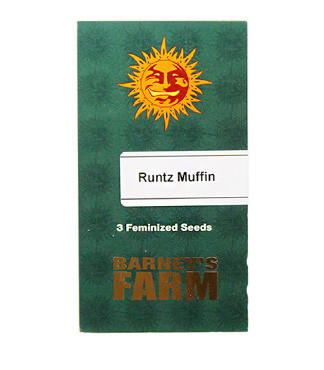 Runtz Muffin fem (Barney's Farm)