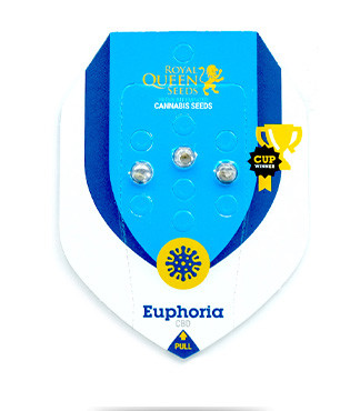 Euphoria CBD fem (RQS)