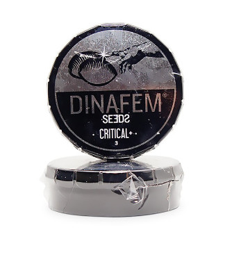 Critical + fem (Dinafem Seeds)