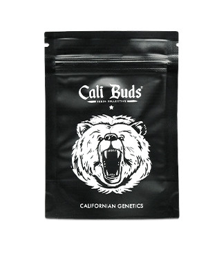 Wedding Cake fem (Cali Buds Seeds)