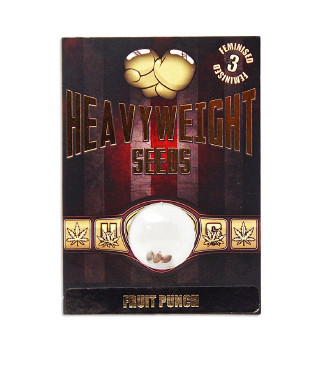 Fruit Punch fem (Heavyweight Seeds)