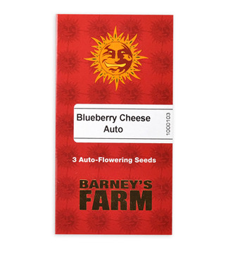 Blueberry Cheese Auto (Blue Cheese Auto) fem (Barney's Farm)