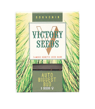Auto Biggest Bud fem (Victory Seeds)