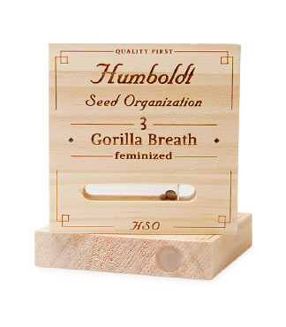 Gorilla Breath fem (Humboldt Seeds)