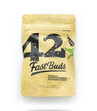 Original Auto OG Kush fem (FastBuds)