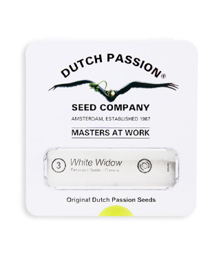 White Widow fem (Dutch Passion)