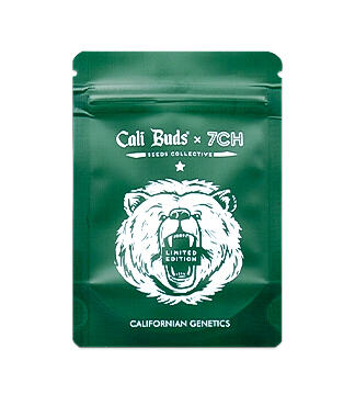 Zkittlez × Gorilla Glue fem (7CH Seeds & Cali Buds Seeds)