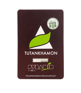 Tutankhamon fem (Pyramid Seeds)