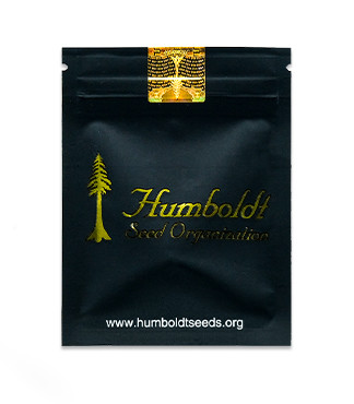 Lemon Citron fem (Humboldt Seed Organization)