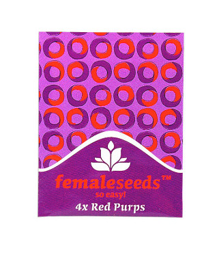 Red Purps fem (Female Seeds)