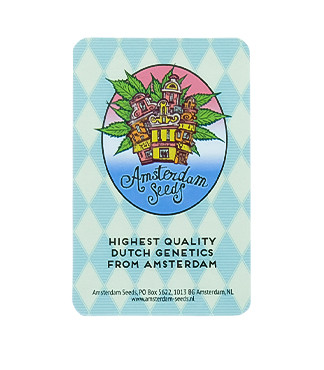 Snow White Amsterdam fem (Amsterdam Seeds)