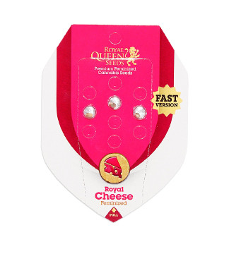 Royal Cheese (Fast Flowering) fem (RQS)