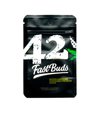 Lemon Pie Auto fem (FastBuds)