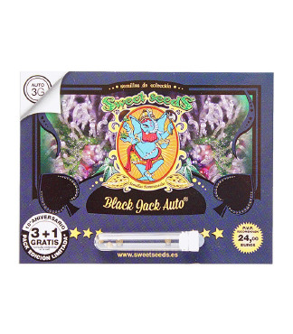 Black Jack Auto fem (Sweet Seeds)