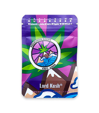 Lord Kush fem (Delicious Seeds)