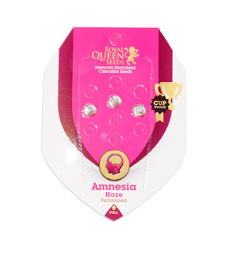 Amnesia Haze fem (RQS)