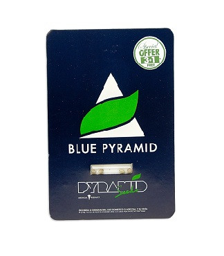 Blue Pyramid fem (Pyramid Seeds)
