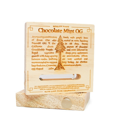 Семена сорта Chocolate Mint OG fem