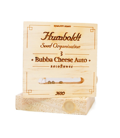 Семена сорта Bubba Cheese Auto fem (Humboldt Seeds)