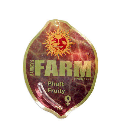 Семена сорта Phatt Fruity fem