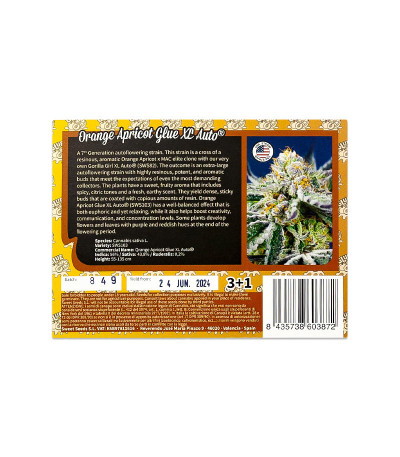 Семена сорта Orange Apricot Glue XL Auto fem (Sweet Seeds)