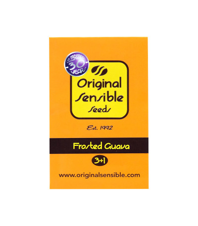 Семена сорта Frosted Guava fem (Original Sensible Seeds)