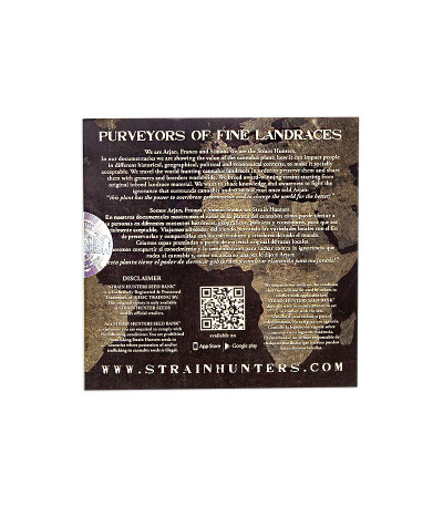 Семена сорта Money Maker fem (Strain Hunters)