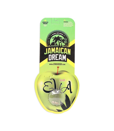 Семена сорта Jamaican Dream fem (Eva Seeds)