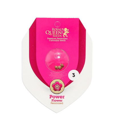 Семена сорта Power Flower fem (Royal Queen Seeds)