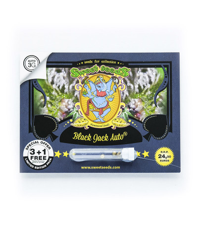 Семена сорта Black Jack Auto fem (Sweet Seeds)