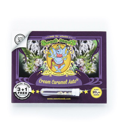 Семена марихуаны Cream Caramel Auto (Sweet Seeds) в оригинальной упаковке 