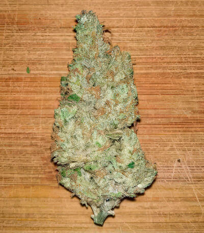 Семена сорта Zkittlez x Grapefruit (7CH Seeds & Cali Buds Seeds)