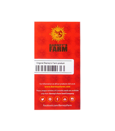 Семена марихуаны Blue Mammoth Auto в оригинальной упаковке