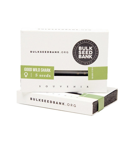 Семена сорта Good Wild Shark fem