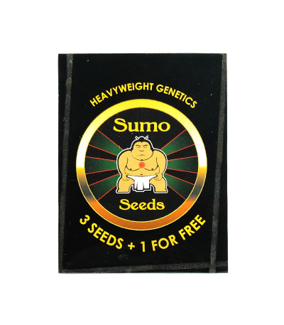 Семена сорта Green Mango Kush fem (Sumo Seeds)