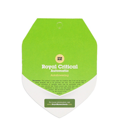 Семена сорта Royal Critical Automatic fem (Royal Queen Seeds)