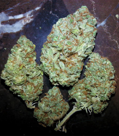 Семена сорта Fruity Chronic Juice fem (Delicious Seeds)