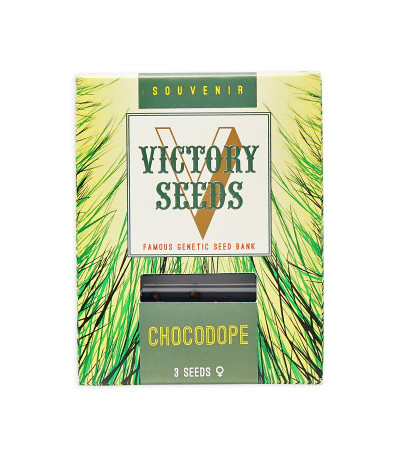 Семена сорта Chocodope fem (Victory Seeds)